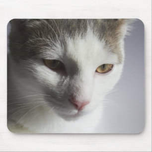 Face of a cat mouse pad