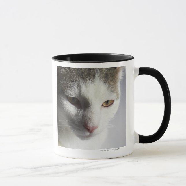 Face of a cat mug (Right)