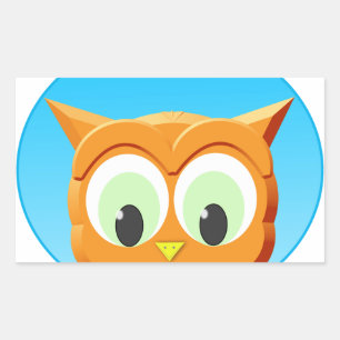 Face Of A Little Owl Rectangular Sticker