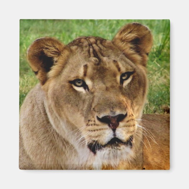 Face of a Queen Magnet (Front)