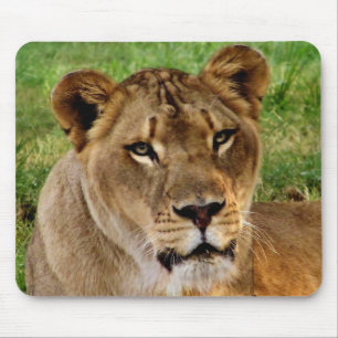 face of a queen mousepad