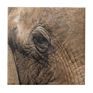 Face of an Elephant Ceramic Tile