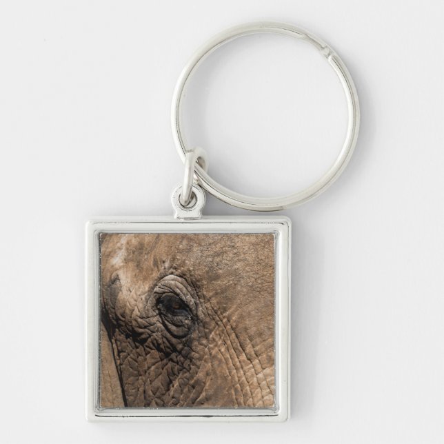 Face of an Elephant Key Ring (Front)
