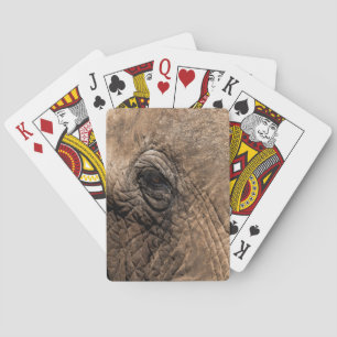 Face of an Elephant Playing Cards