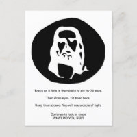 Face of Christ Optical Illusion Postcard