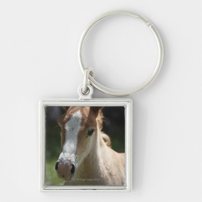 face of foal key ring (Front)