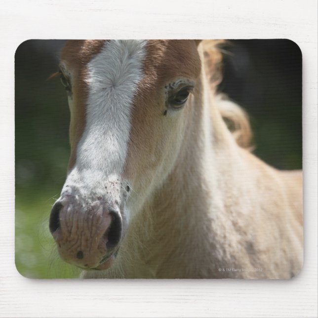 face of foal mouse pad (Front)