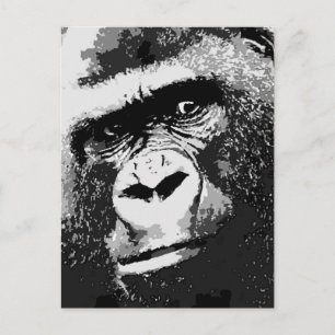 Face of Gorilla Postcard