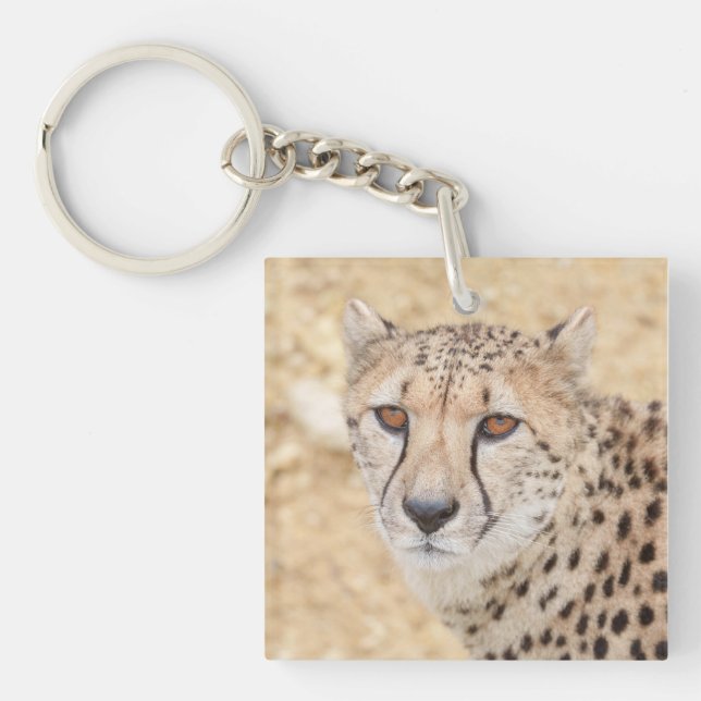 Face of the Wild: Cheetah's Intense Look Key Ring (Front)
