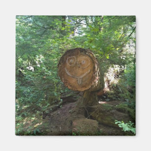 Face on a Tree Magnet