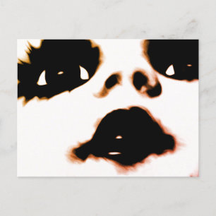 Face  postcard
