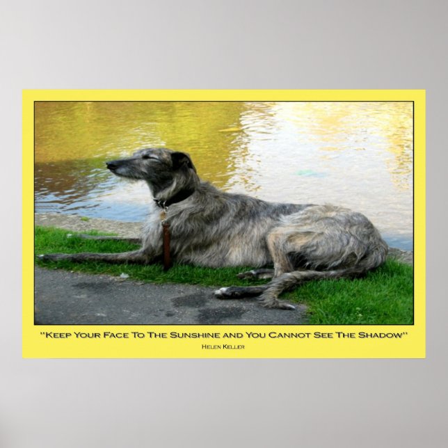 Face The Sunshine, print (Front)