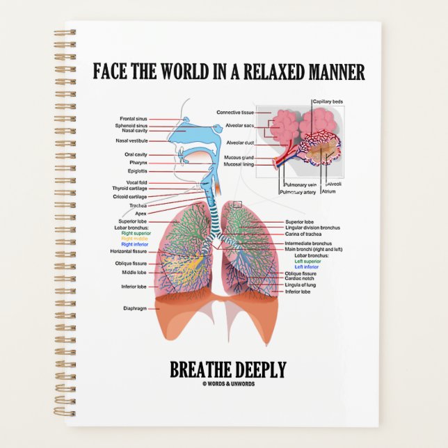 Face The World In A Relaxed Manner Breathe Deeply Planner (Front)