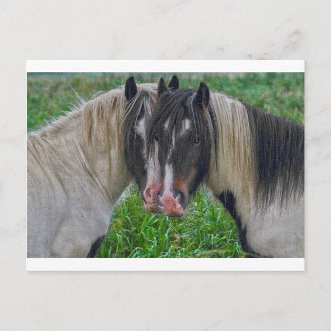 Face to Face Postcard (Front)
