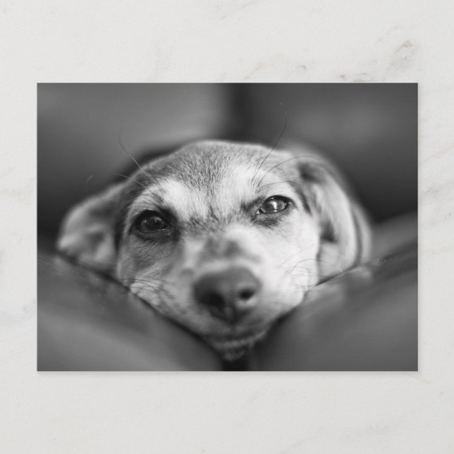 Face to Face Postcard (Front)