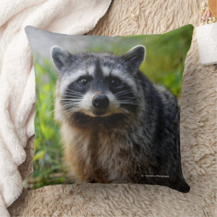 Face to Face with a North American Racoon Cushion