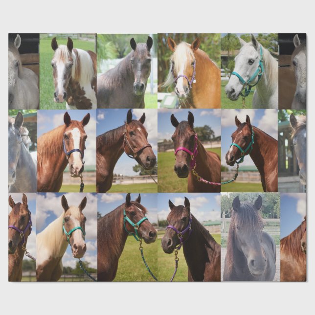 Faces of Rescue Wrapping Paper (Seam)