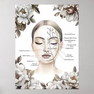 Facial Anatomy Blood Vessel Botox Decor