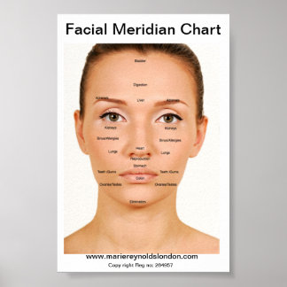 Facial Meridian Chart