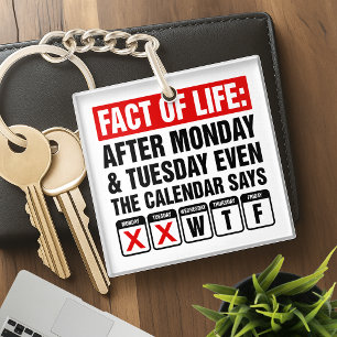 Fact of Life Calendar Says WTF Humour Key Ring