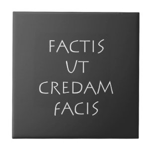 Factis ut credam facis ceramic tile