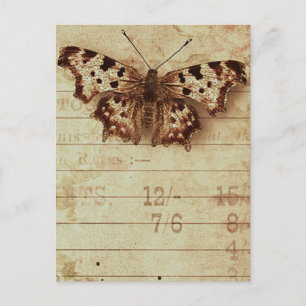 Faded distressed sepia butterfly notepad numbers postcard