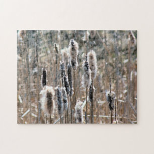 Faded Fluffy Cattails In Spring Nature Jigsaw Puzzle