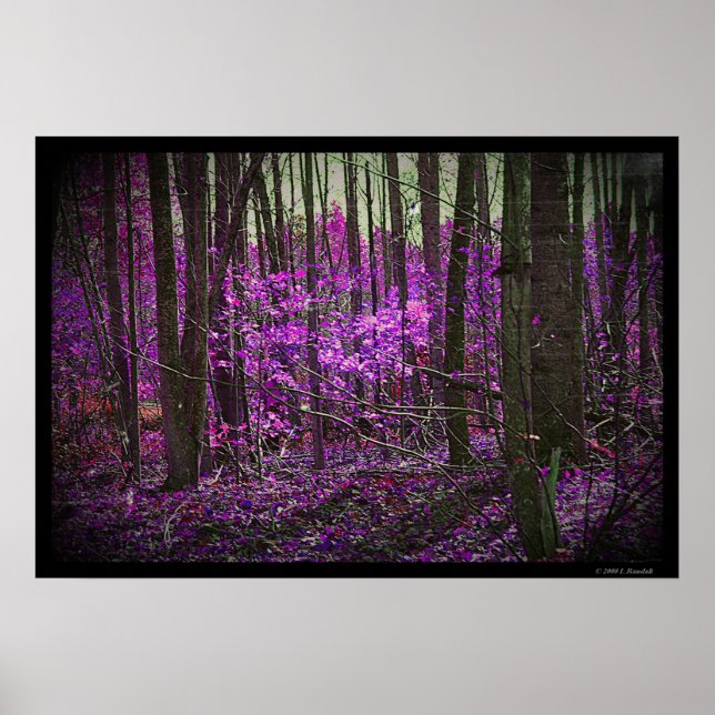 Faded Lavender Dreams poster (Front)