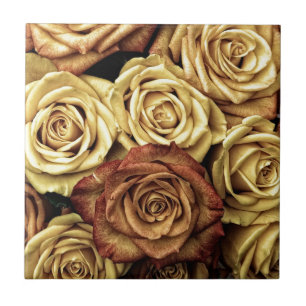 Faded Sepia Roses Ceramic Tile