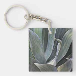 Faded Succulant Detail, 2017 Key Ring