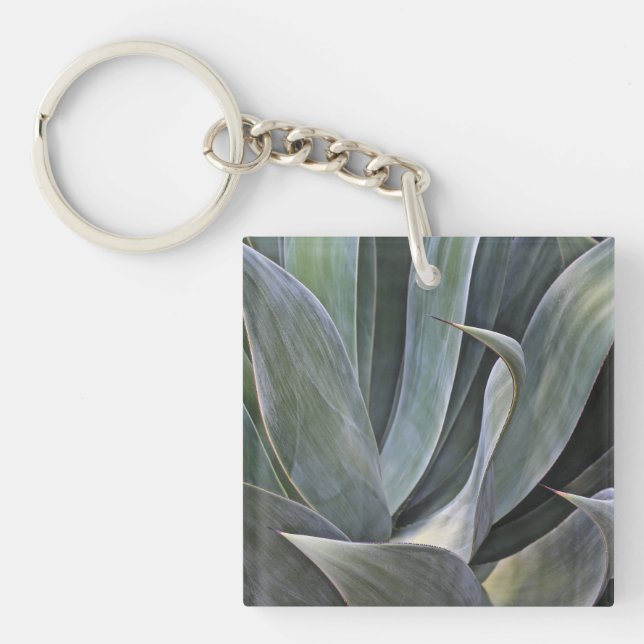 Faded Succulant Detail, 2017 Key Ring (Front)