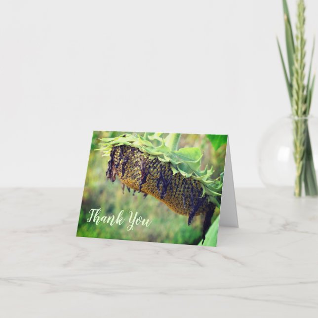Faded Sunflower Floral Thank You Card (Front)
