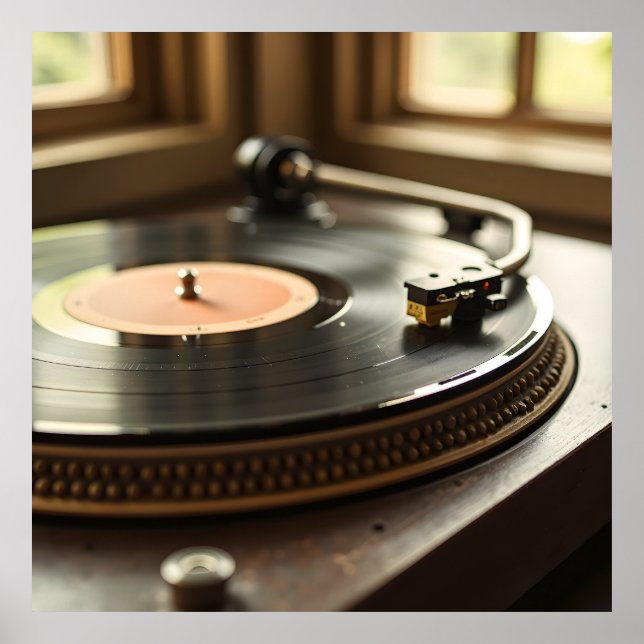 Faded Vinyl Record Poster (Front)