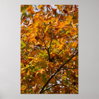 Fading Colours Poster