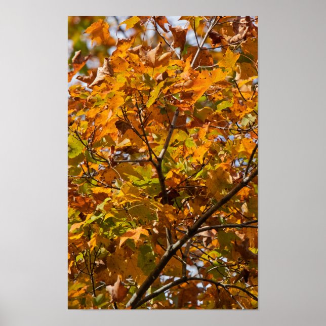 Fading Colours Poster (Front)