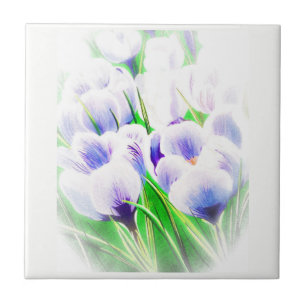 Fading Crocus TIle