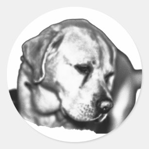 Fading Gaze Classic Round Sticker