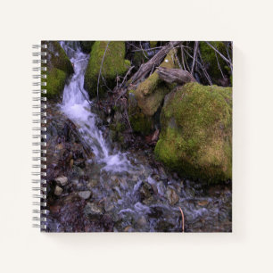Fae's waterfall...... notebook