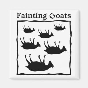 Fainting Goats Magnet