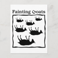 Fainting Goats
