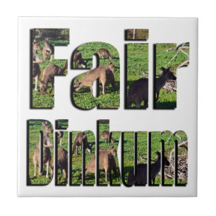 Fair Dinkum Aussie Slang Word With Kangaroos, Ceramic Tile