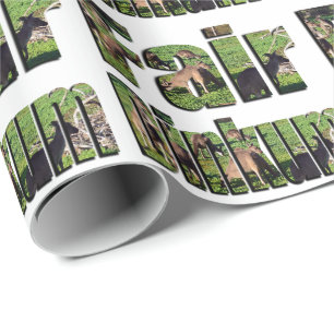 Fair Dinkum Aussie Slang Word With Kangaroos, Wrapping Paper