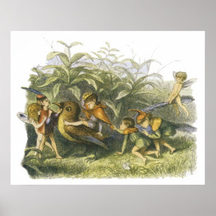 Fairies Playing with Robin Print by Richard Doyle