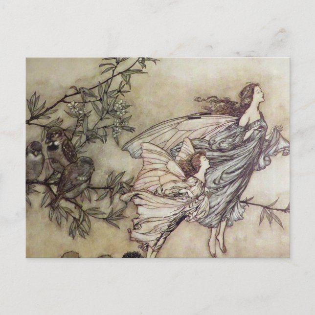 “Fairies Tiff with the Birds” by Arthur Rackham Postcard (Front)