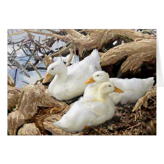 Fairmount Park Duck Family Greeting Card (Front Horizontal)