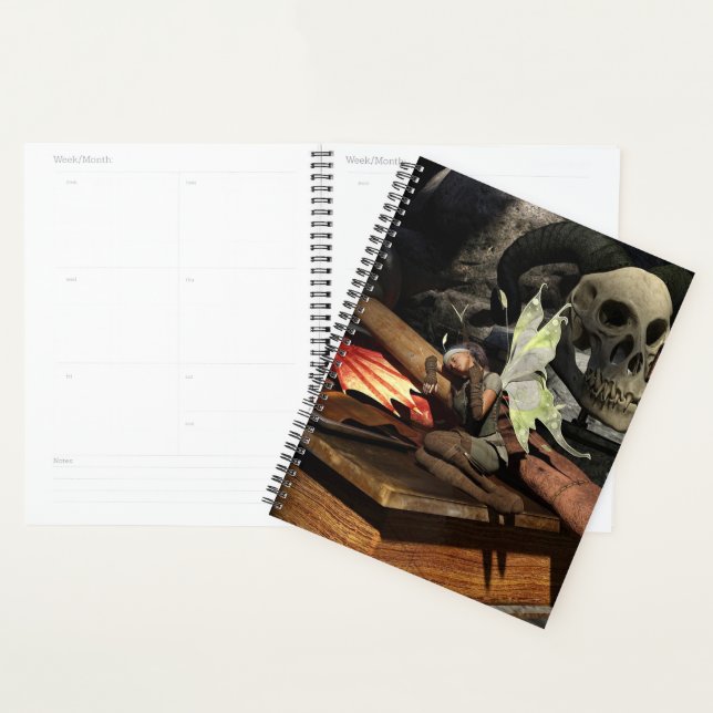 Fairy and Skull Planner (Display)