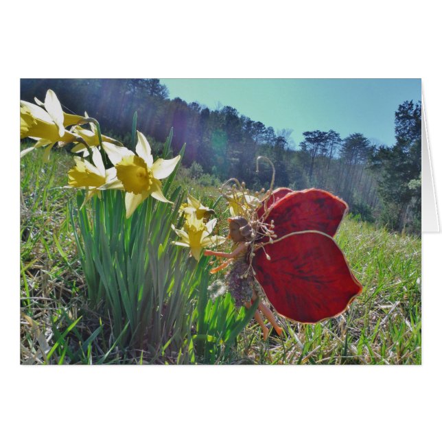 Fairy and yellow flowers (Front Horizontal)