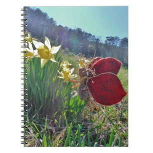 Fairy and yellow flowers notebook