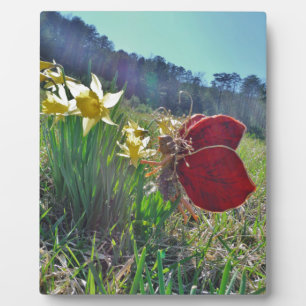 Fairy and yellow flowers plaque