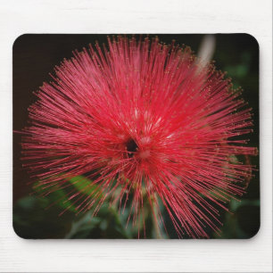 Fairy Duster Mousepad